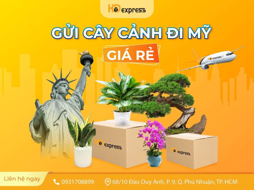 GỬI CÂY CẢNH ĐI MỸ GIÁ RẺ TẠI HĐ EXPRESS