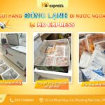 Gửi hàng đông lạnh đi nước ngoài