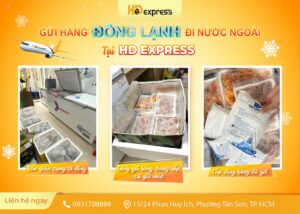 Gửi hàng đông lạnh đi nước ngoài