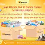 Gửi thuốc tây đi nước ngoài